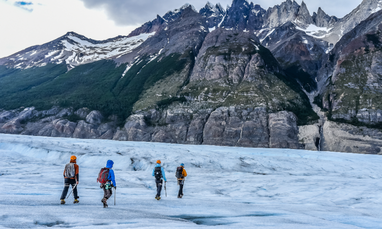 Ice Hike Grey Glacier